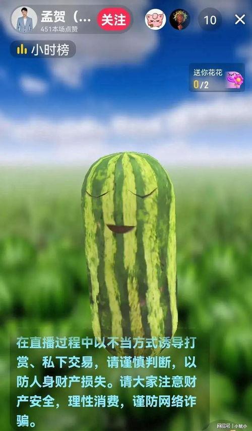 十月新瓜最新爆料,娱乐圈风云再起,神秘事件引热议